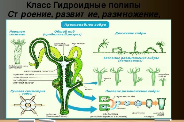 Кракен это сайт