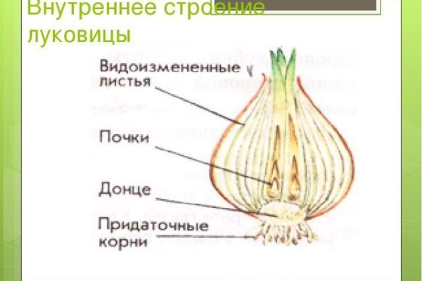 Кракен гидра даркнет